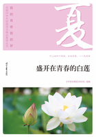 “我的青春我的梦”全国中学生校园美文精品集萃丛书:盛开在青春的白莲在线阅读