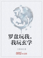罗盘玩我,我玩玄学在线阅读