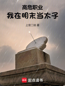 高危職業:我在明末當太子