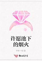 許愿池下的煙火在線閱讀