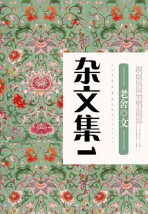 雜文集1