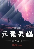 元素天梯,我为主宰在线阅读
