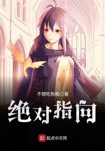 絕對指向