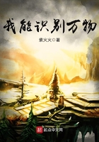 我能识别万物