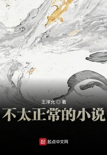 不太正常的小說