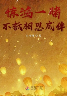 驚鴻一睹不抵相思成伴