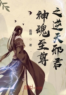 神魂至尊之逆天邪君