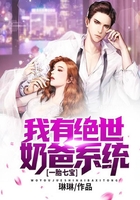 一胎七宝:我有绝世奶爸系统