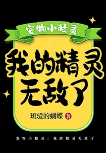 宠物小精灵:我的精灵无敌了 cover