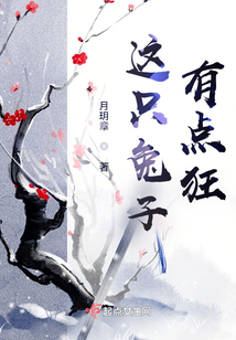 這只兔子有點狂