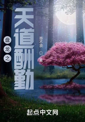 盘龙之天道酬勤在线阅读