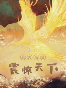 追夫后我震驚天下