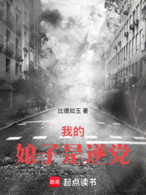 我的娘子是逆黨