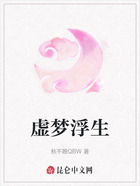 虚梦浮生在线阅读