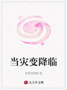 当灾变降临在线阅读