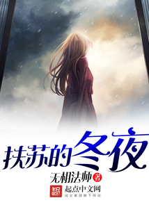 扶蘇的冬夜