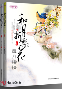 风月栖情：和月折梨花〖全本已出版〗