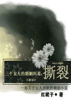 女人婚姻糾葛在線閱讀
