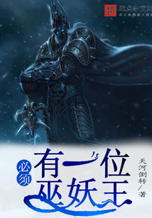 必须有一位巫妖王 cover