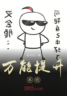 万能提升系统