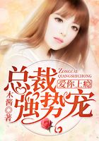 爱你上瘾:总裁强势宠