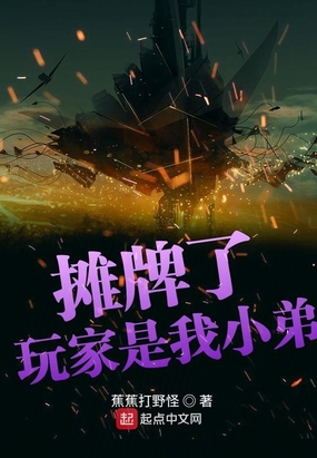 摊牌了玩家是我小弟在线阅读