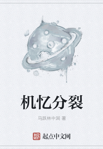 機(jī)憶分裂