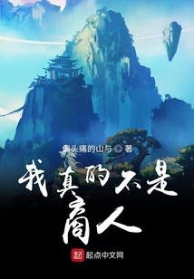 我真的不是商人