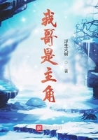 我哥是主角在线阅读