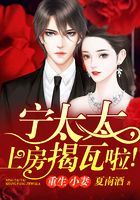 重生小妻:宁太太,上房揭瓦啦!