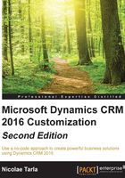 Microsoft Dynamics CRM 2016 Customization（Second Edition）在线阅读