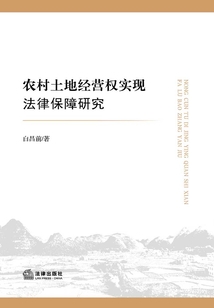 農村土地經營權實現法律保障研究