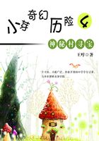 小芽奇幻历险4：神秘村寻宝在线阅读