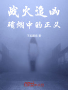 战火追凶:硝烟中的正义在线阅读