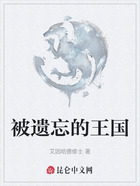 被遗忘的王国在线阅读