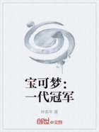 宝可梦:一代冠军在线阅读