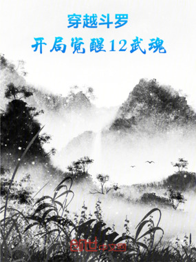 穿越斗罗,开局觉醒12武魂在线阅读