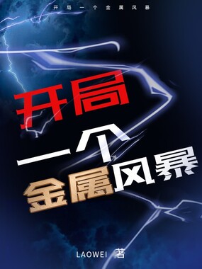 开局一个金属风暴在线阅读