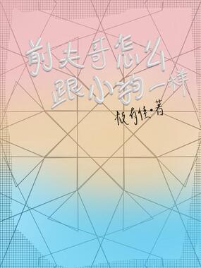 前夫哥怎么跟小狗一样在线阅读