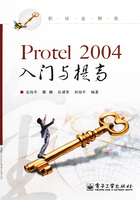 Protel 2004入门与提高