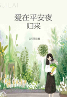 愛在平安夜歸來在線閱讀