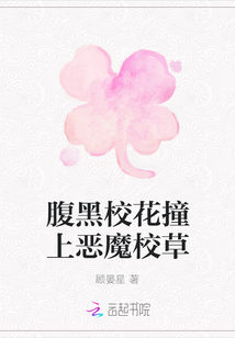 腹黑校花撞上惡魔校草