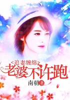 追妻缠绵:老婆不许跑在线阅读