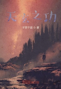 天玄之功