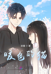 暖色的貓