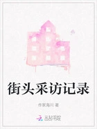 街头采访记录在线阅读