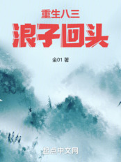重生八三：浪子回头在线阅读