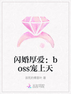 闪婚厚爱：boss宠上天在线阅读