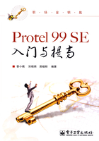 Protel 99 SE入门与提高