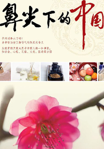 鼻尖下的中国